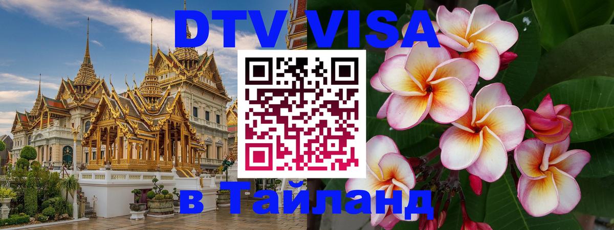 Сколько стоит DTV виза — актуальные цены, оформление даже без документов - 19.11.2025 